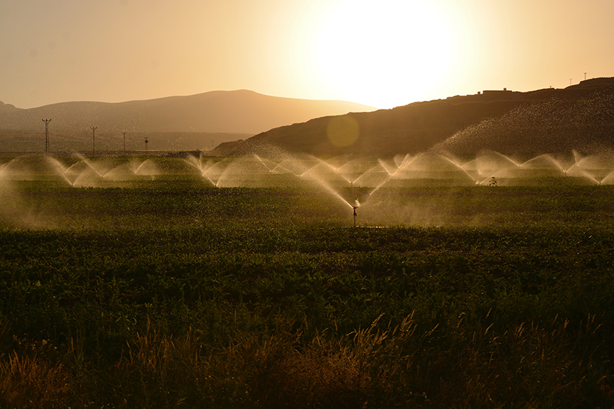 Irrigation_Landscape_pexels-suleyman-sahan-2684805_Web